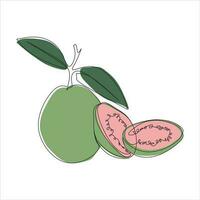 Vector guava fruit drawing of one continuous line. Color illustration of guava fruit in the style of one line art