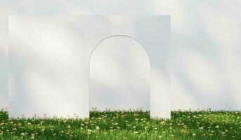 3D rendering grass field with abstract white arch wall background photo