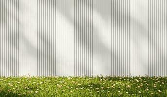 3D rendering grass field with white wood planks wall background photo