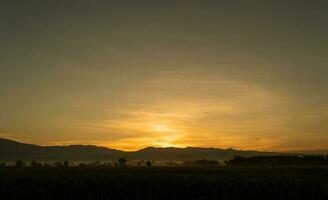 Natural sunrise over field or meadow photo