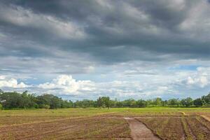 farmland countryside Thailand view - Beautiful clouds photo