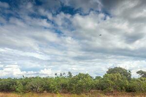 farmland countryside Thailand view - Beautiful clouds photo