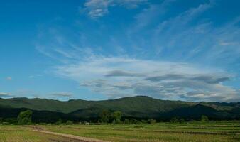 campo paisaje. arroz campo y montaña con azul nublado cielo antecedentes. foto