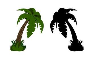 palm tree with coconuts and its silhouette vector