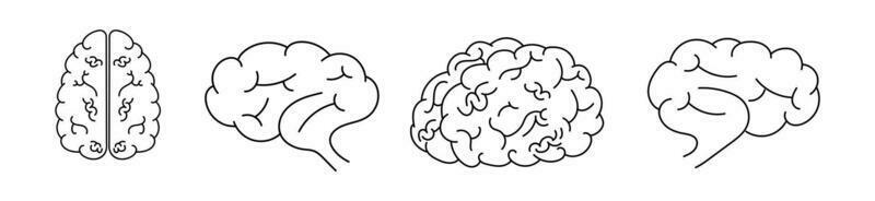 human brain icon detailed outline vector