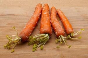 Sprouted orange carrots isolated on wooden table photo