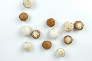 Mix white brown button mushroom top view on white background photo
