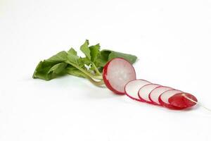 Small red radish on white background photo