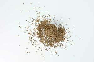 Cumin seeds dry whole powdered healthy aromatic spice jeera photo