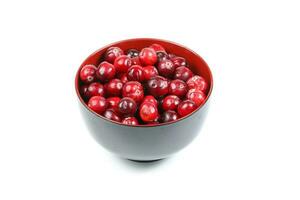 Small Red Cranberry photo