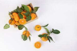 mandarin orange green leaf in wooden box crate top view copy text space on white background photo