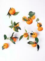 mandarin orange green leaf float fall drop on white background photo