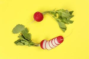 Small red radish on yellow background photo