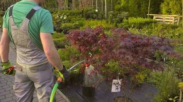 jardinier arrosage les plantes video