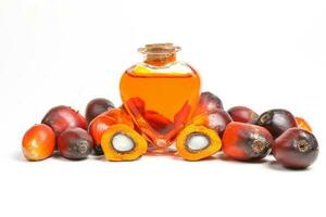 Oil Palm Fruit bulb bottle photo