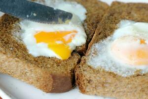 Poached fried egg on brown whole meal brad toast photo