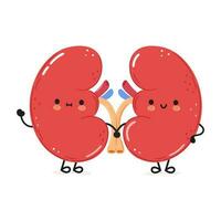 Cute funny kidneys waving hand character. Vector hand drawn cartoon kawaii character illustration icon. Isolated on white background. Kidneys character concept