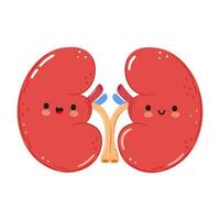 Kidneys organ character. Vector hand drawn cartoon kawaii character illustration icon. Isolated on white background. Kidneys character concept