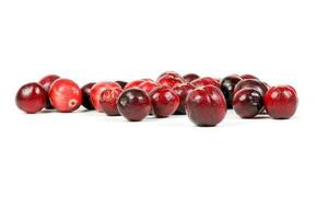 Small Red Cranberry photo