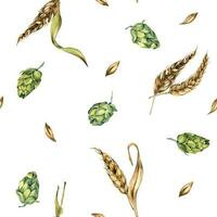 Wheat ear, hop watercolor seamless pattern isolated on white background. Spikelet of rye, humulus plant, hop cones hand drawn. Design element for brewing, wrapping, label, packaging, paper, textile vector