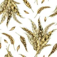 Wheat ear bunch watercolor seamless pattern isolated on white background. Spikelet of rye, barley, grains hand drawn. Design element for textile, paper, packaging, label grocery, bakery, wrapping vector