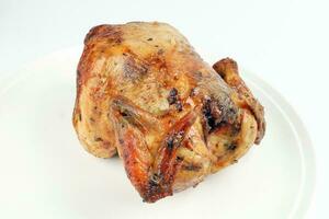 Whole roasted grilled chicken poultry bird on white background photo