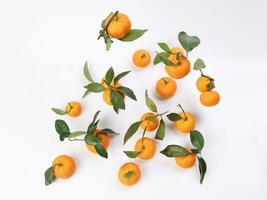 mandarin orange green leaf float fall drop on white background photo