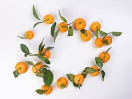 mandarin orange green leaf top view border frame copy text space on white background photo
