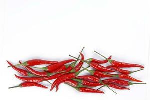 Red birds eye chilli line border on white background photo