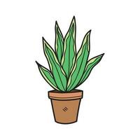 isolate organic houseplants in plant pot element vector