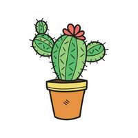 isolate organic castus houseplants element vector