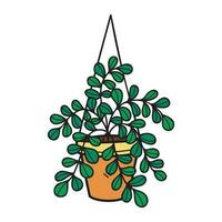 isolate organic green houseplants in plant pot element vector