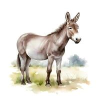 generativo ai contenido, Burro aislado en blanco antecedentes. acuarela. ilustración. muestra. de cerca. clipart. dibujado por mano. foto