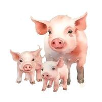 content, Watercolor pig with little piglets isolated on white background. Hand drawn illustration of a pig. photo