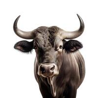 Generative AI content, Portrait of a black bull with horns isolated on a white background, close-up photo