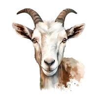 content, portrait of brown goat isolated on white background. Watercolor. Illustration. Sample. Close-up. Clip art. Drawn by hand photo