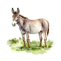 generativo ai contenido, Burro aislado en blanco antecedentes. acuarela. ilustración. muestra. de cerca. acortar Arte. dibujado por mano. foto