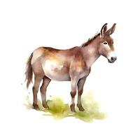 generativo ai contenido, Burro aislado en blanco antecedentes. acuarela. ilustración. muestra. de cerca. clipart. dibujado por mano. foto