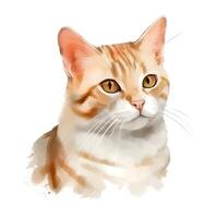 generativo ai contenido, el dibujo de un rojo gato con grande ojos es hecho en acuarela. mano pintado ilustración foto