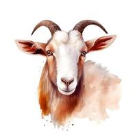 content, portrait of brown goat isolated on white background. Watercolor. Illustration. Sample. Close-up. Clip art. Drawn by hand photo