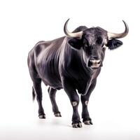 Generative AI content, Portrait of a black bull with horns isolated on a white background, close-up photo