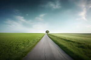 The landscape of grass fields and blue sky road leading off into the distance. . photo