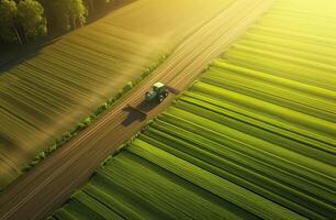 aéreo ver de combinar segador. cosecha de colza campo. industrial antecedentes en agrícola tema. biocombustible producción desde arriba. agricultura y ambiente en europeo Unión. generativo ai foto