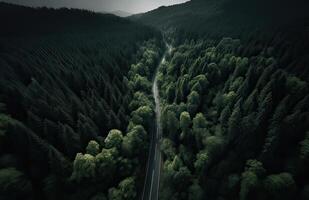 Top view of green forest landscape wallpaper art. Aerial nature scene of pine trees and asphalt road banner design. Countryside path trough coniferous wood form above. . photo