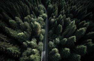 parte superior ver de verde bosque paisaje fondo de pantalla Arte. aéreo naturaleza escena de pino arboles y asfalto la carretera bandera diseño. campo camino canal conífero madera formar arriba. generativo ai. foto