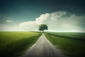 The landscape of grass fields and blue sky road leading off into the distance. . photo