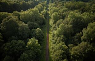 Top view of green forest landscape wallpaper art. Aerial nature scene of pine trees and asphalt road banner design. Countryside path trough coniferous wood form above. . photo