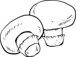 Vector black and white champignon mushrooms doodle style isolated on white background