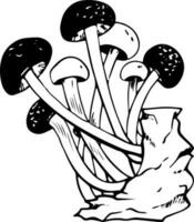 Vector black and white shimeji mushrooms doodle style isolated on white background