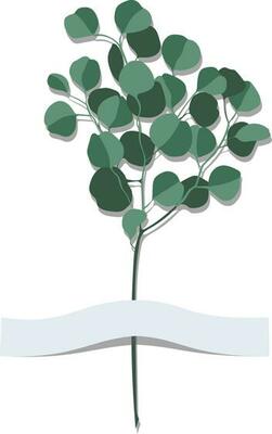 Flat style eucalyptus branch with blank copy space ribbon isolated on white background